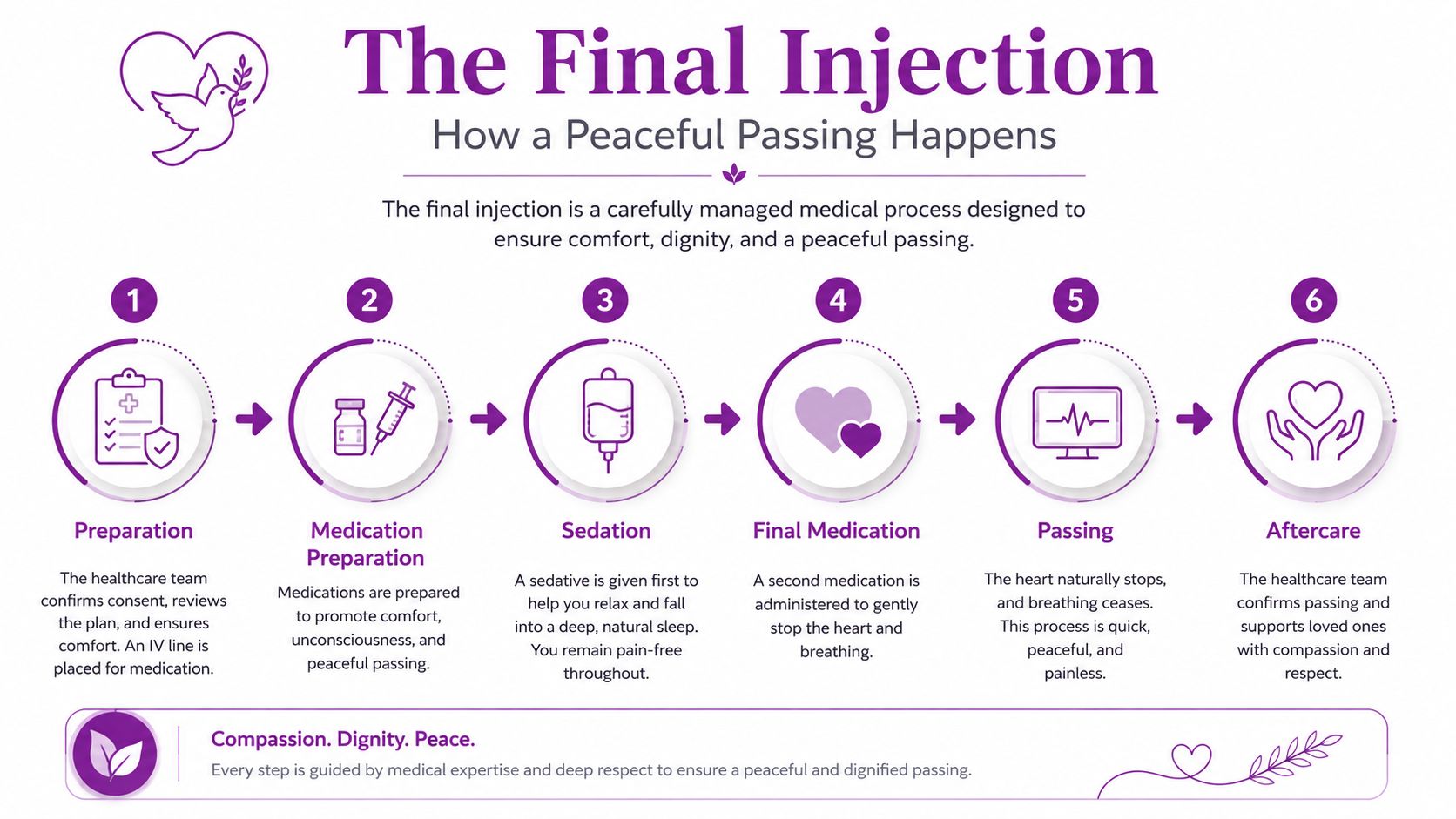 A six-step infographic explaining the medical process of a peaceful passing through euthanasia injections.