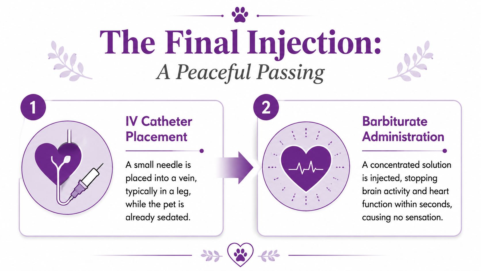An infographic detailing the two-step process of pet euthanasia: IV catheter placement and barbiturate administration.