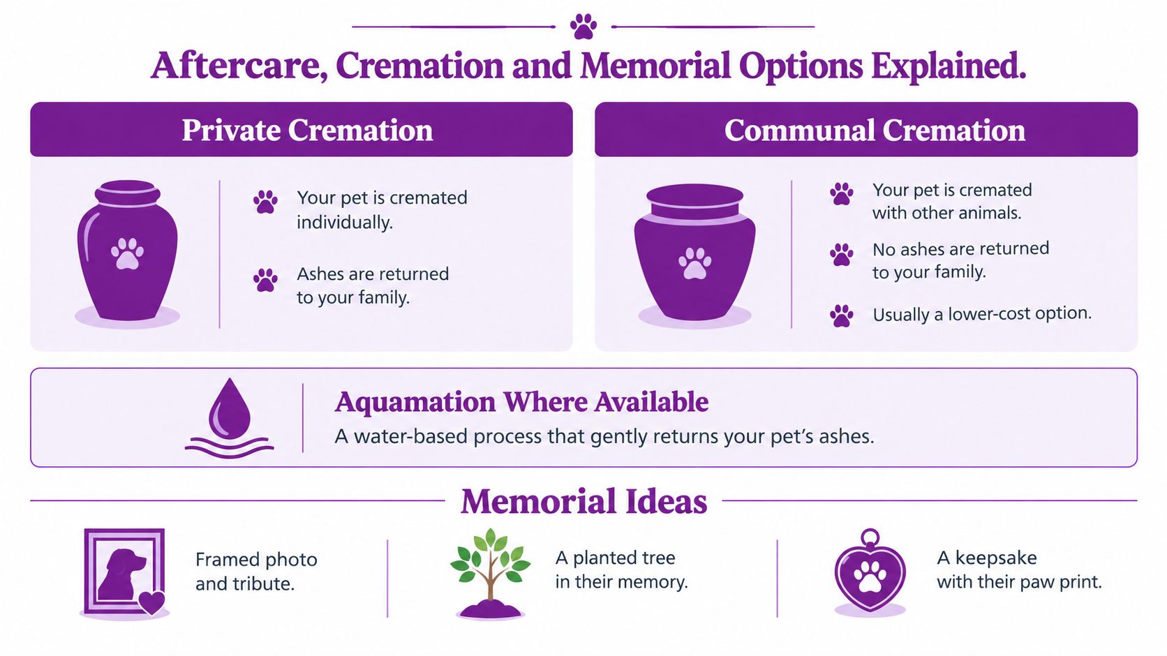 An infographic detailing pet aftercare, cremation, and memorial options including private, communal cremation, aquamation, and memorial ideas.