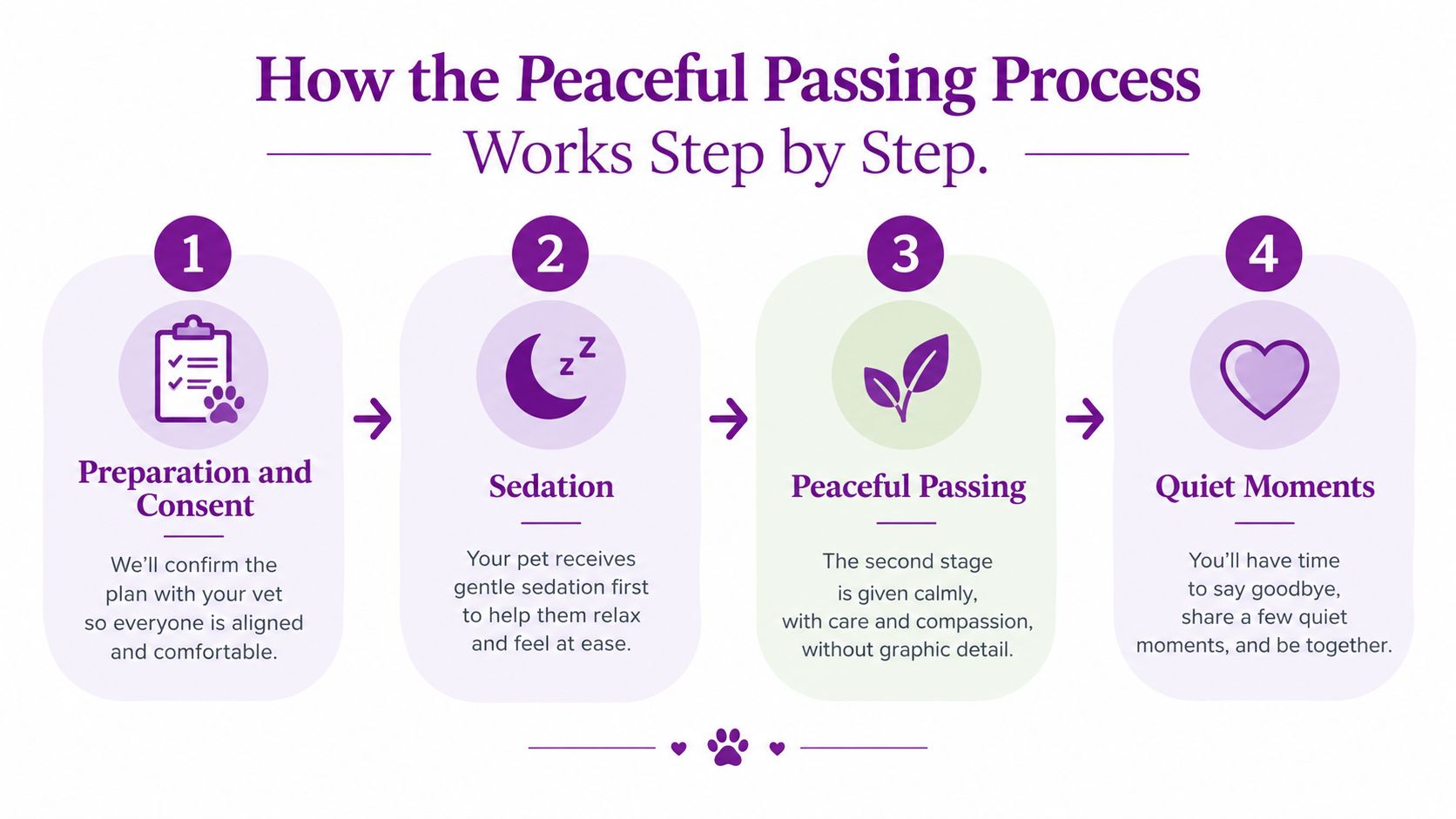 An infographic detailing the four-step peaceful pet euthanasia process at home, focusing on comfort and compassion.